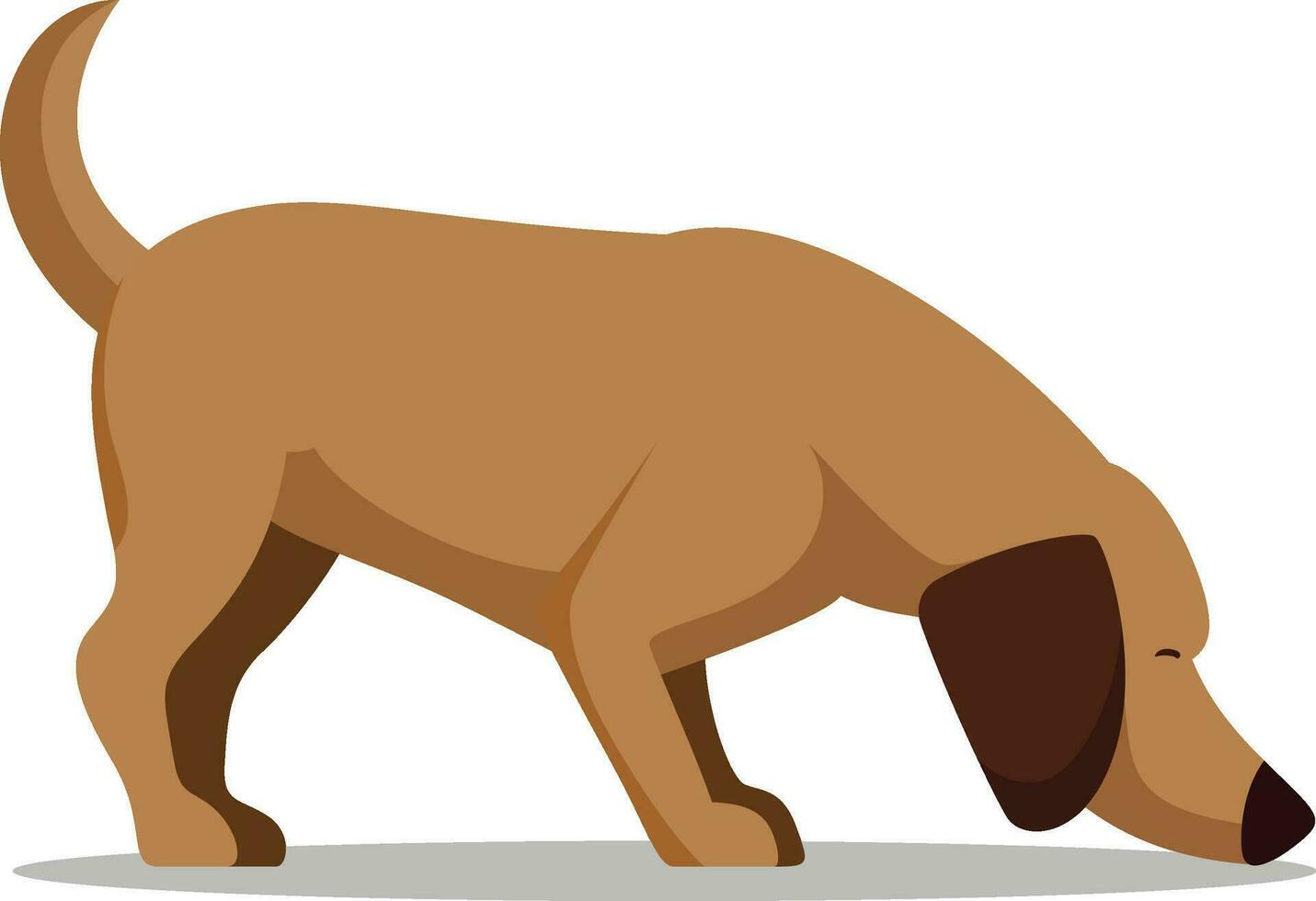 dog picture